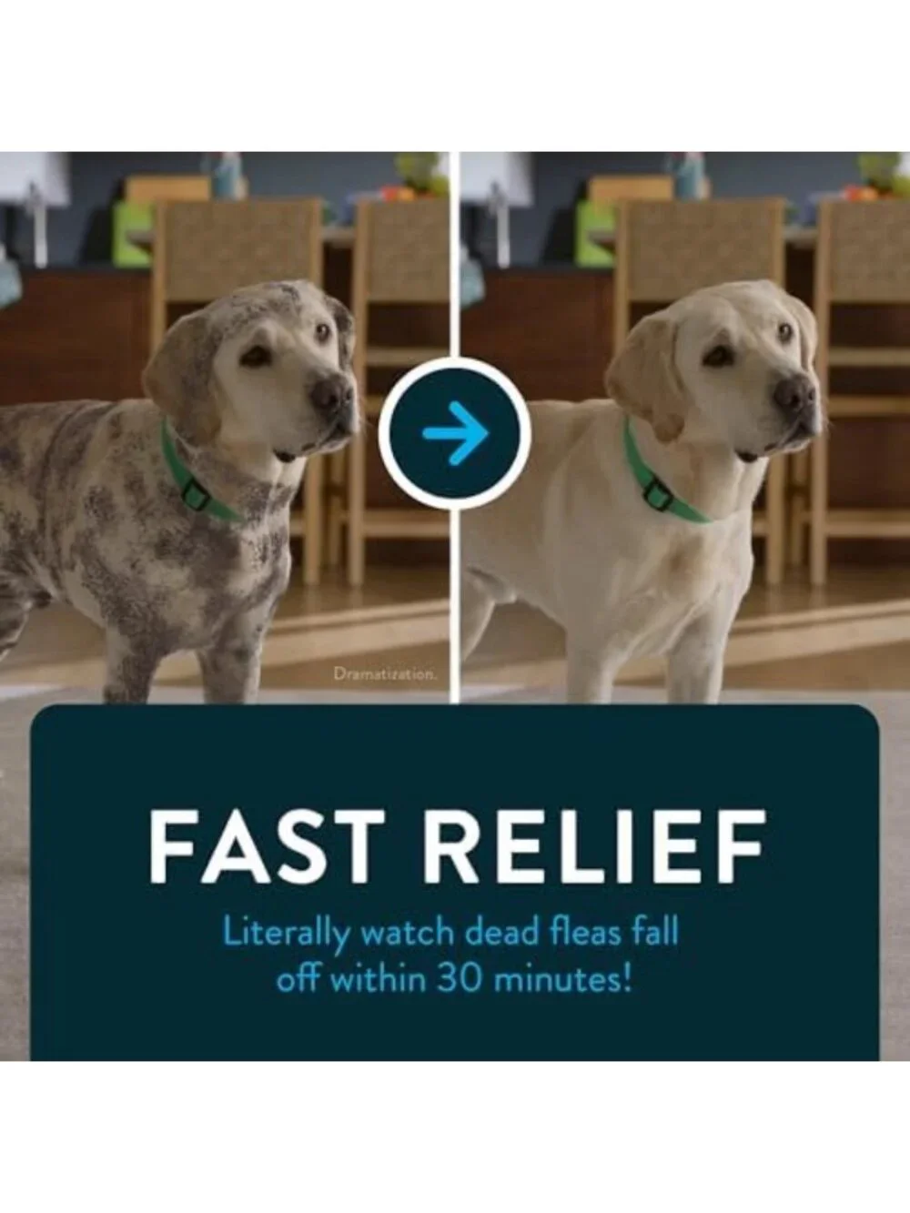 Fast-Acting Oral Flea Treatment for Dogs 2-25 Lbs, Vet-Recommended, 6 Doses